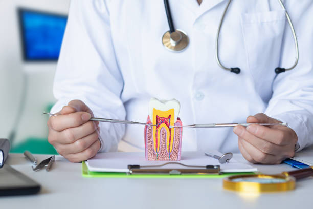 Best Emergency Treatment for Toothache in Craig, CO